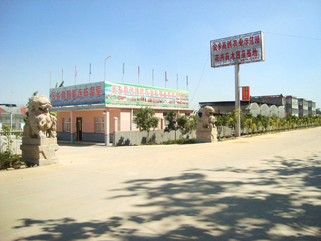 廠(chǎng)區(qū)廠(chǎng)房01